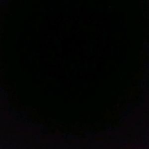 Meet your Posher, Daundra